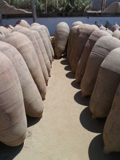 in diesen 100 jährigen Amphoren wird der Traubensaft zwei Wochen lang fermentiert.