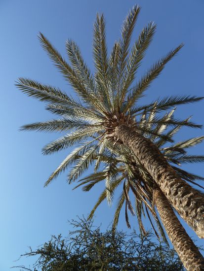 unter Palmen liegen - und jede Minute geniessen. Denn sie ist kurz, die Zeit zum Entspannen - es geht gleich weiter ins neue Abenteuer