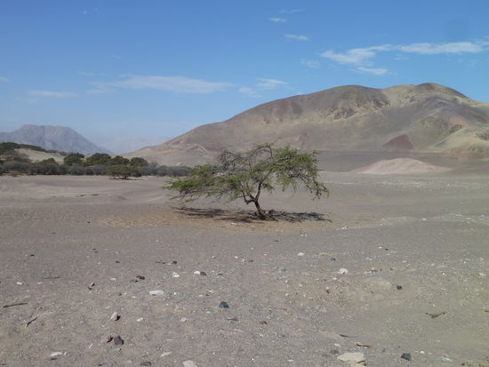 In dieser Einöde liegen die Gräber versteckt im Sand.
