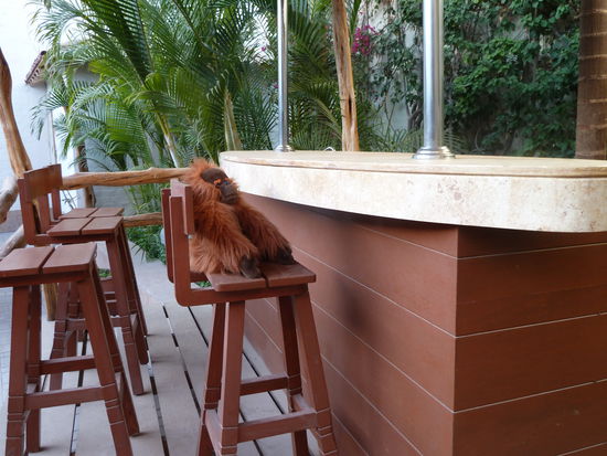 und schon hockt er an der Bar