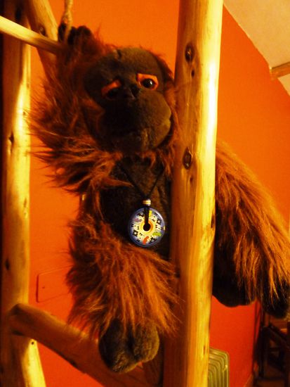 Mr. Woodmans Schlafplatz