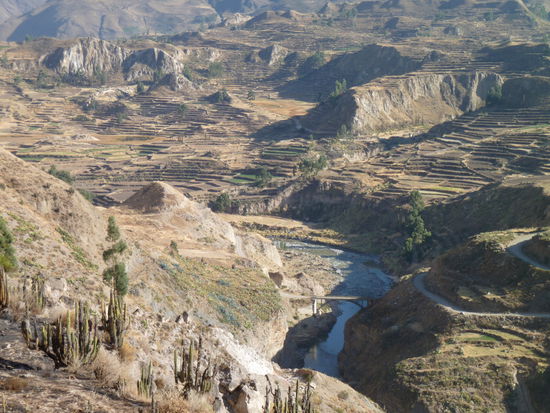 Die Terrassen erstrecken sich über verschiedene Höhenlagen