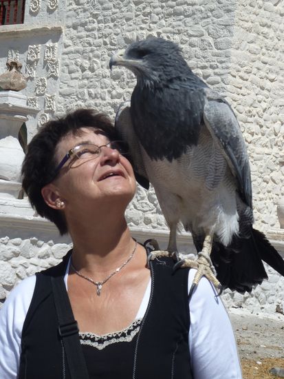 Vielleicht sollte man ihn nicht unterstützen, den Mann, der seit 18 Jahren einen Adler hält. Aber faszinierend ist der Kontakt mit dem Tier trotzdem.