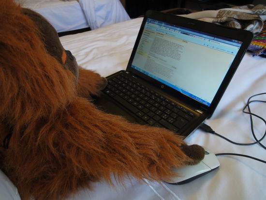 Mr. Woodman versucht sich mit der Tastatur. Er hat noch etwas Schwierigkeiten, den richtigen Buchstaben zu treffen.