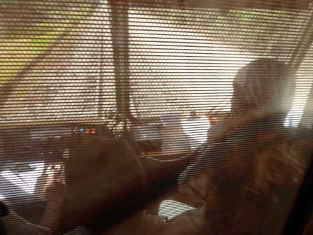 Im Cockpit: einer fährt, der zweite hupt und der dritte kontrolliert.
Daneben hatten wir auch noch fünf Zugsbegleiter.