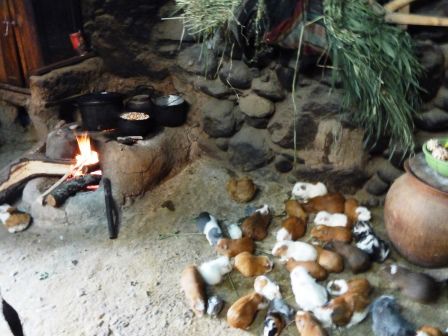 rund um den Herd leben die Meerschweinchen. Weil sie so fiepen werden sie Guy genannt.