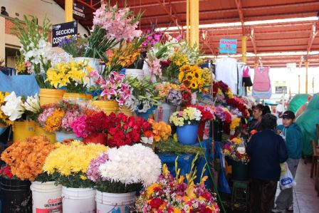 die Blumenabteilung