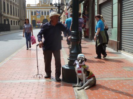 Der alte Mann und der Hund gehören zum Stadtbild von Lima. Hinten ist der Bahnhof erkennbar.