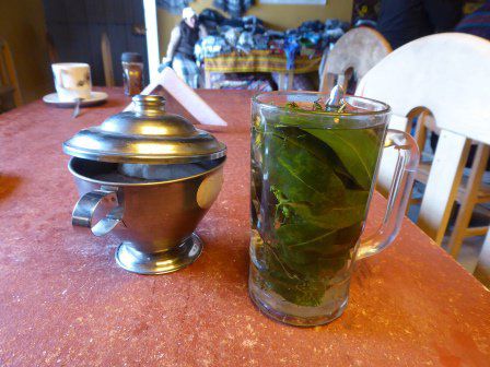 Mate Mixta mit CocaBlättern und wilder Pfefferminze