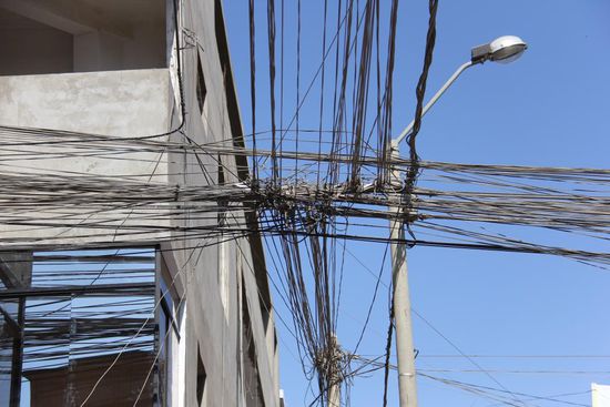 So ein Gnusch
Foto: Beat