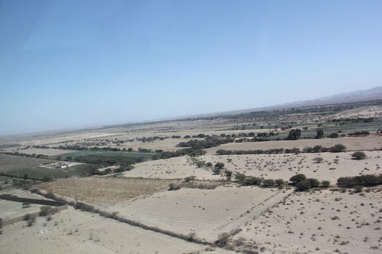 Damit hier in der Wüste etwas wächst, muss bewässert werden.
Foto: Beat