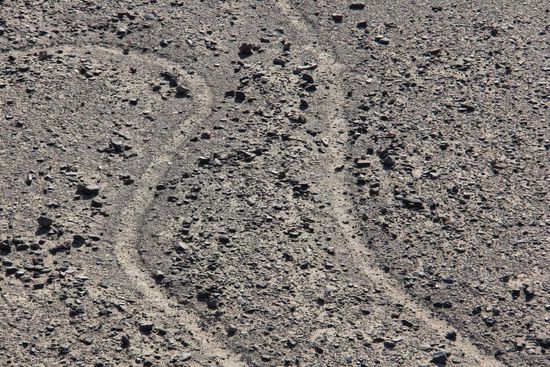 So sehen die Zeichnungen aus der Nähe ein. Tief eingegraben ist das nicht. Die Oberfläche ist nur angeritzt. Foto: Beat