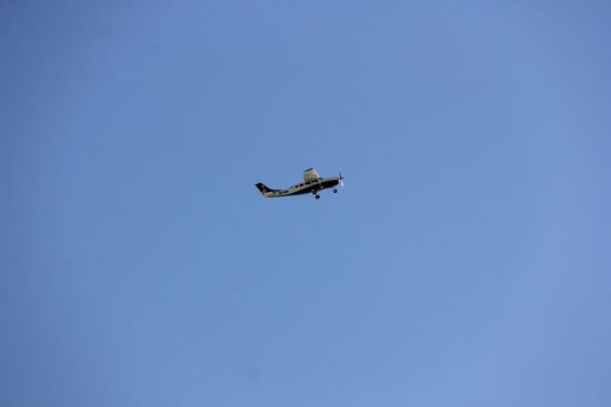 Und da oben dreht schon wieder einer seine Runden
Foto: Beat