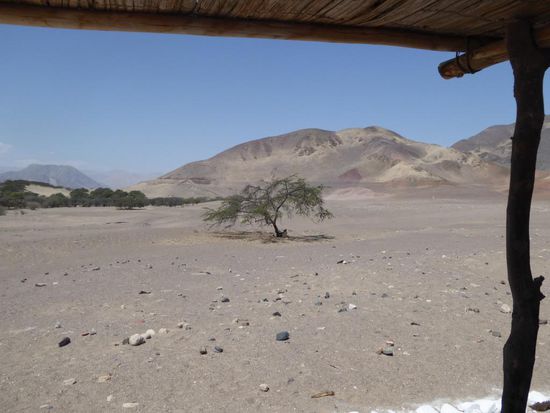 Bestimmt gibt es hier noch Tausende von diesen Gräbern. Man hat ein paar für Besucher frei gegeben.