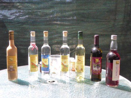 Pisco-Degustation