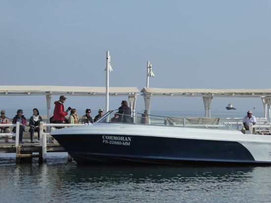Unser Boot, die Cormoran wartet