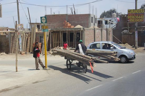 Durch den ganzen Stau hat er sich mit seiner langen Ladung mit dem Fahrrad durchgekämpft und die richtige Abzweigung erwischt. 
Foto: Beat
