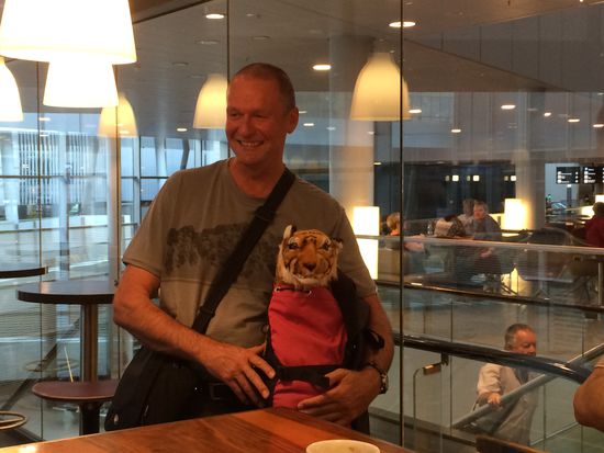 Bruno, der Grosswildjäger. Auf der anderen Seite guckt ein Rentier aus seinem Rucksack.