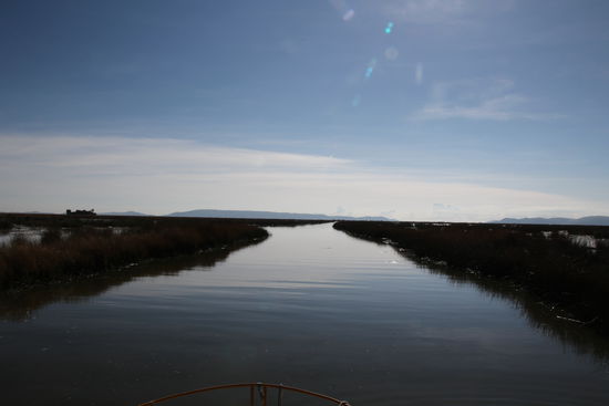 über den morgendlichen Titicacasee