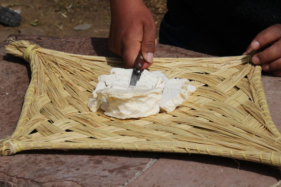 Ein feiner Weichkäse aus Kuhmilch  - Foto: Bruno