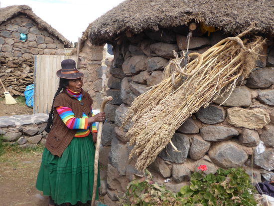 An der Speicherwand hängt ein Büschel Quinoa