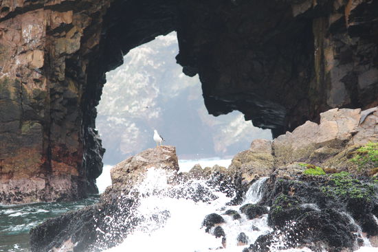 Das versteckte Gesicht