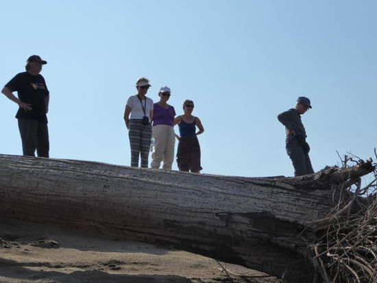... von interessierten Zuschauern beobachtet.