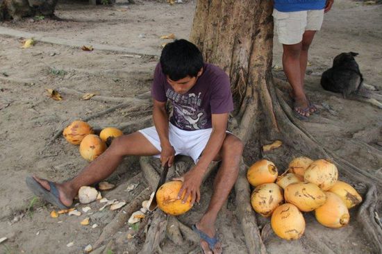 Es gibt frische Kokosnüsse für alle - Foto Bruno