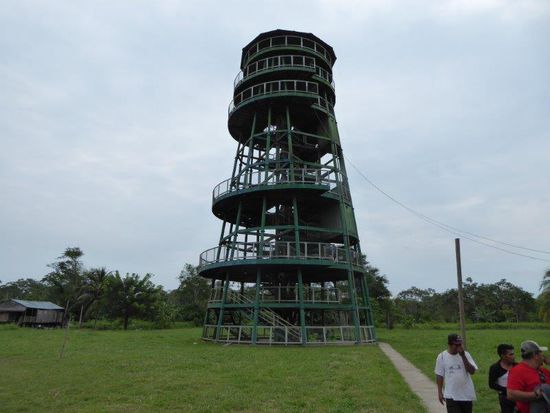 Der Aussichtsturm in Grau ist 40 m hoch