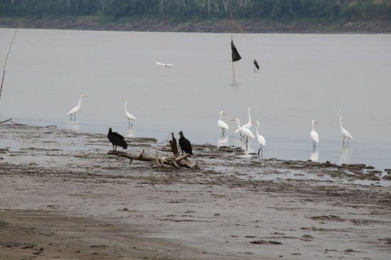Bevor wir wieder ins Boot steigen, sieht sich der Fotograf noch ein wenig um... Foto: Bruno