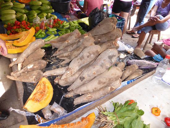 Maniok, hier wird er Yucca genannt