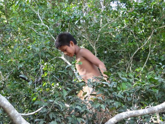 unser nächster Besuch gilt den Yahuas. Die kleinen Buben im Baum haben uns bereits entdeckt...