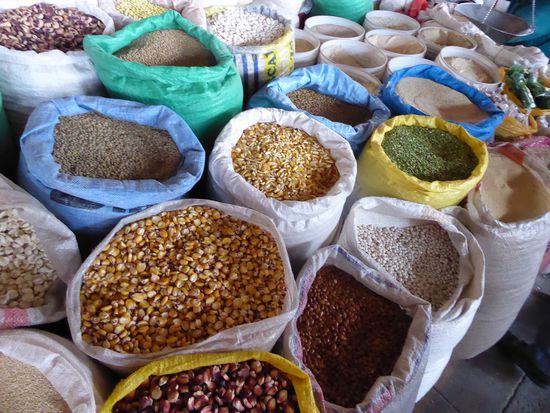 eine Auswahl von Maiskörnern, Bohnen und Quinoa