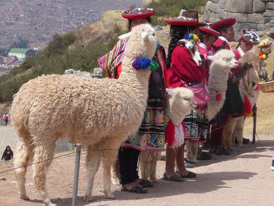 Die professionellen Fotosujets stehen bereit.