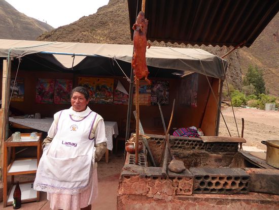 Das letzte Meerschweinchen