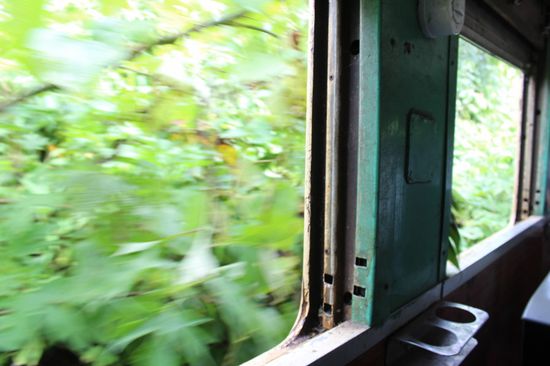 Was seit dem gestrigen Zug nachgewachsen ist, wird abrasiert...