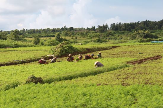 Die Frauen haben tatsächlich zurückgewunken, als sie mich gesehen haben.