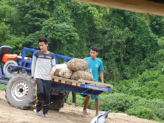 Ich würde auch krähen, wenn ich in einem dieser Käfige stecken würde.