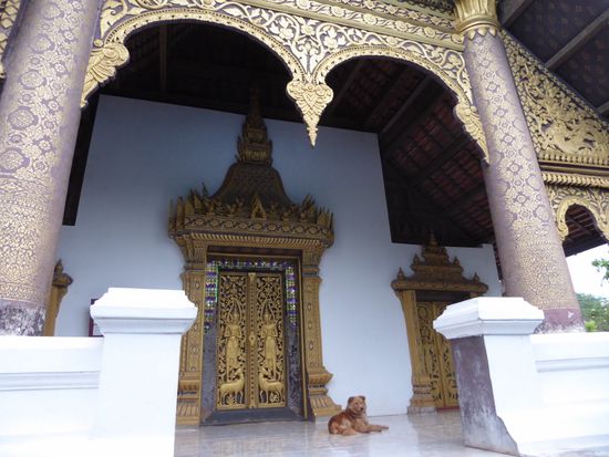 Natürlich bin ich auch hier wieder von Tempeln umzingelt