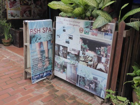 Dieses Schild war mir am Morgen aufgefallen.