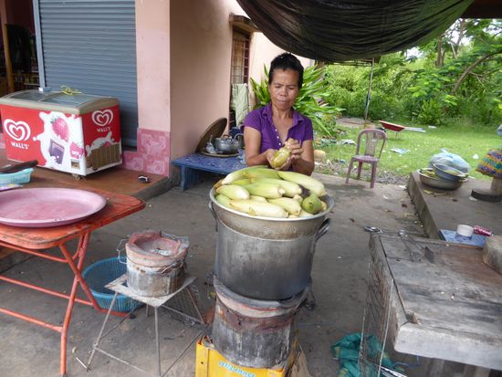 Ich hatte schon öfters kleine Maisfelder gesehen, war aber nicht sicher, ob ich das richtig erkannt hatte. Hier ist nun der Beweis: Es wird auch Mais angepflanzt.