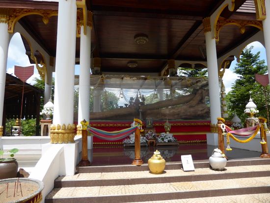 Heiliges Holz - aus heiligem Wasser herausgefischt