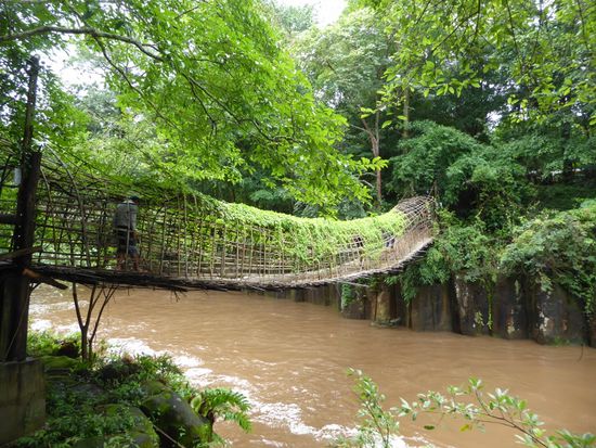 Hängebrücke aus Bambusstäben...