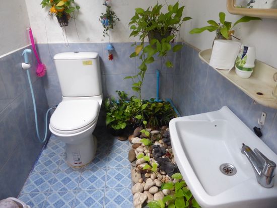 Hier ist sogar das stille Örtchen ein kleiner Garten.