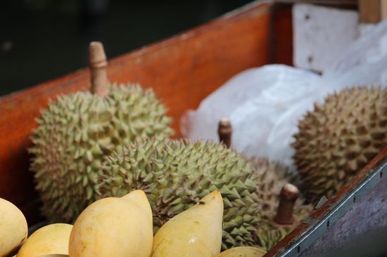 Durian, die Stinkfrucht