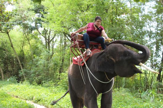 Himbo holt sich seinen Proviant - er hat auch das Trinkgeld so abgeholt