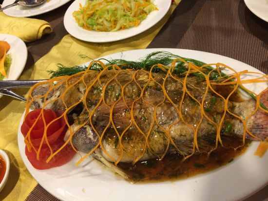 Fisch im Karottennetz.