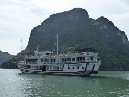 Viola, unser Cruiser