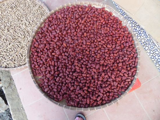 Früchte und Wurzeln