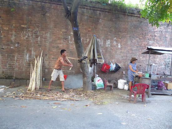 Zuckerrohrstangen werden geschält und zum Pressen vorbereitet.